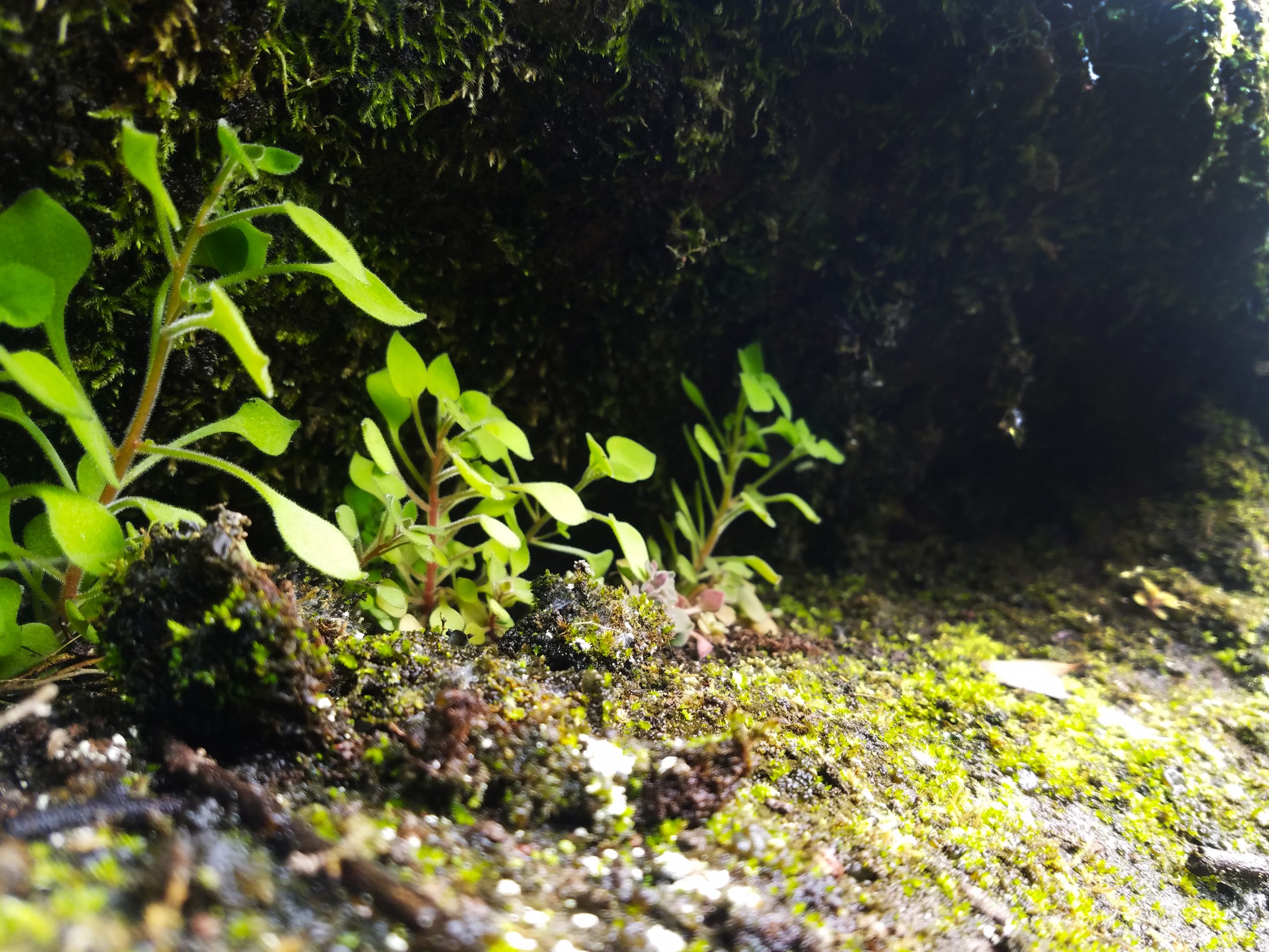 20180416 112208 Scaled