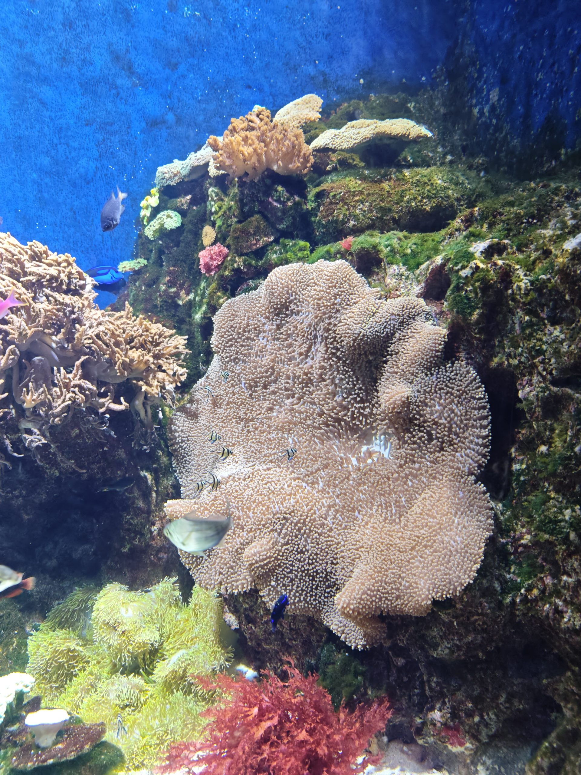 mvimg 20250518 184108